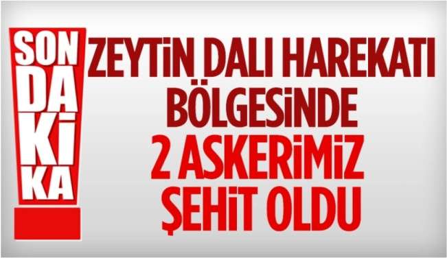 Zeytin Dalı Harekat bölgesinde 2 şehit