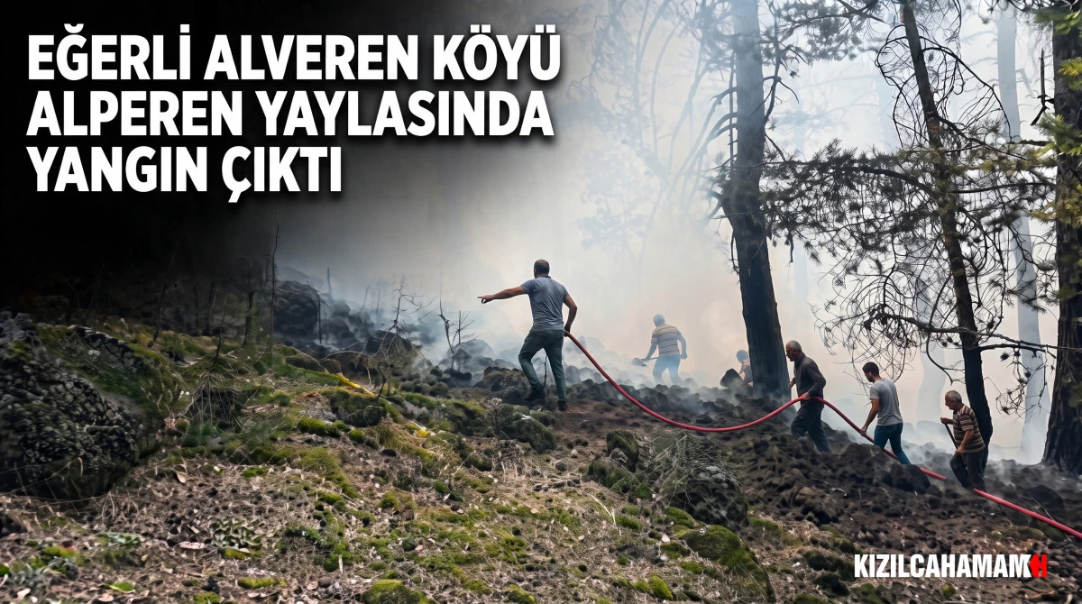 Eğerli Alveren K&ouml;y&uuml; Alperen Yaylasında Yangın &Ccedil;ıktı