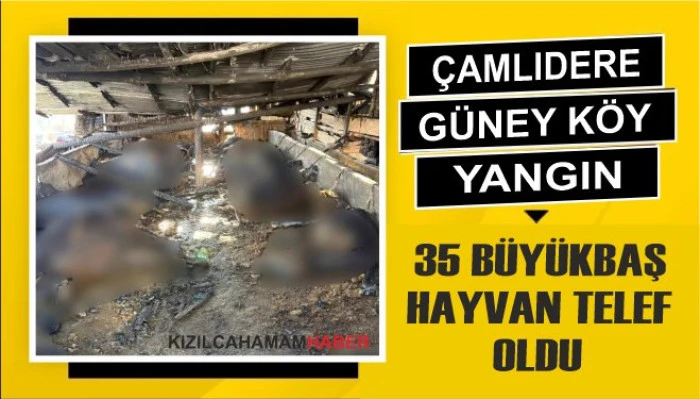 G&uuml;ney K&ouml;y&rsquo;de Ahır Yangını: 35 B&uuml;y&uuml;kbaş Hayvan Telef Oldu