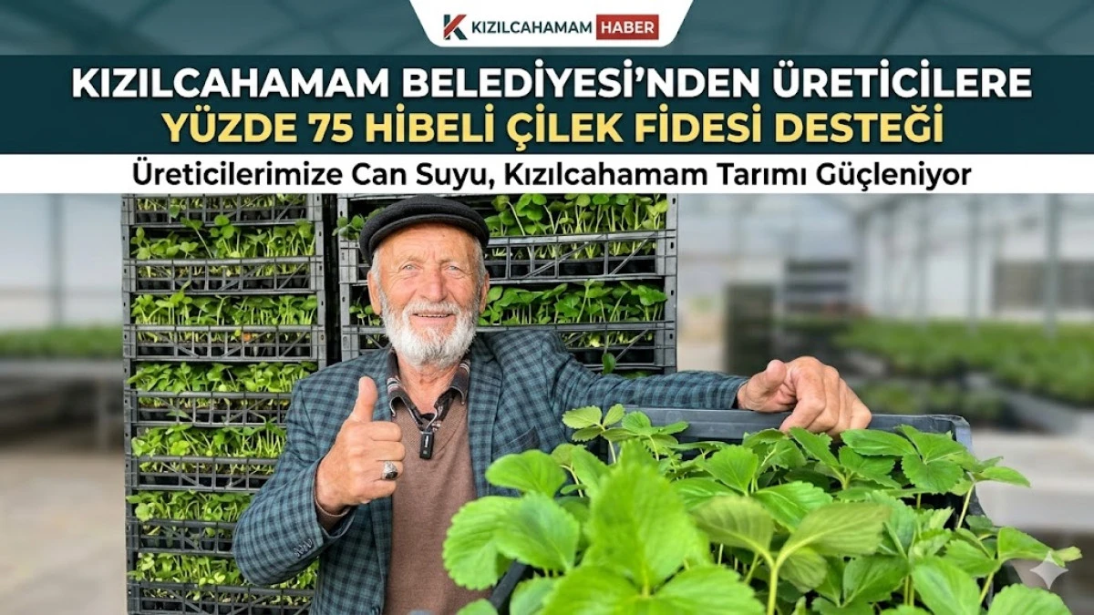 Kızılcahamam Belediyesi &Uuml;reticilere &Ccedil;ilek Fidesi Dağıttı