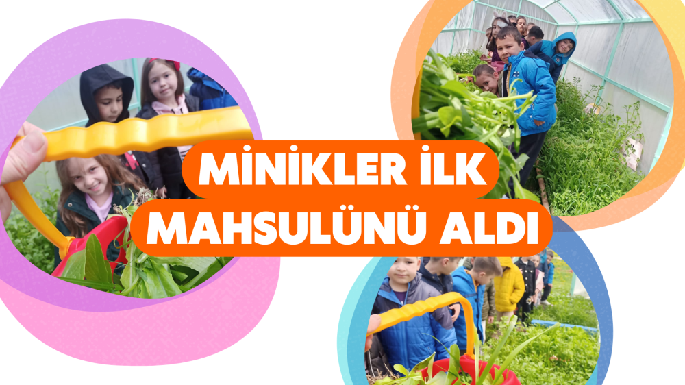 Minikler İlk Mahsulünü Aldı