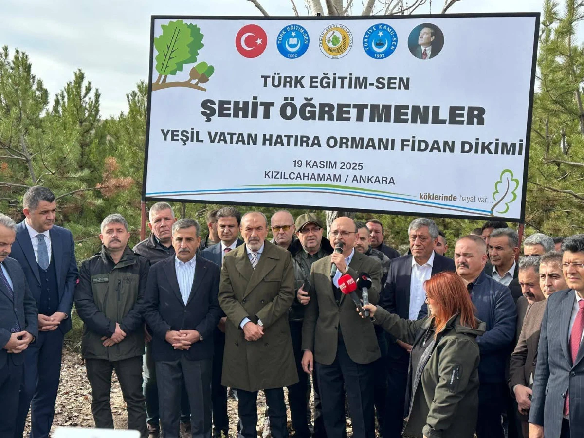 Şehit Öğretmenler Yeşil Vatan Hatıra Ormanı
