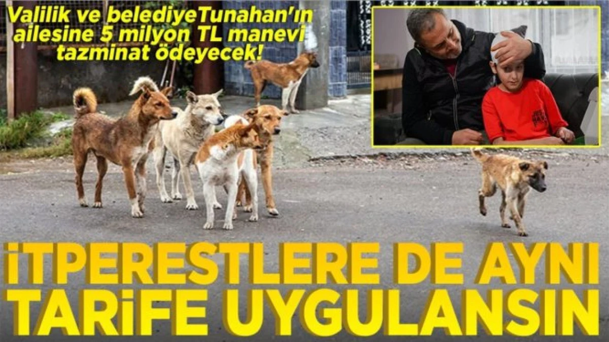 Valilik ve belediye Tunahan'ın ailesine, 5 milyon tazminat &ouml;deyecek İtperestlere de aynı tarife uygulansın